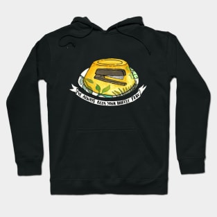 He Put My Stuff in Jello Again! Hoodie